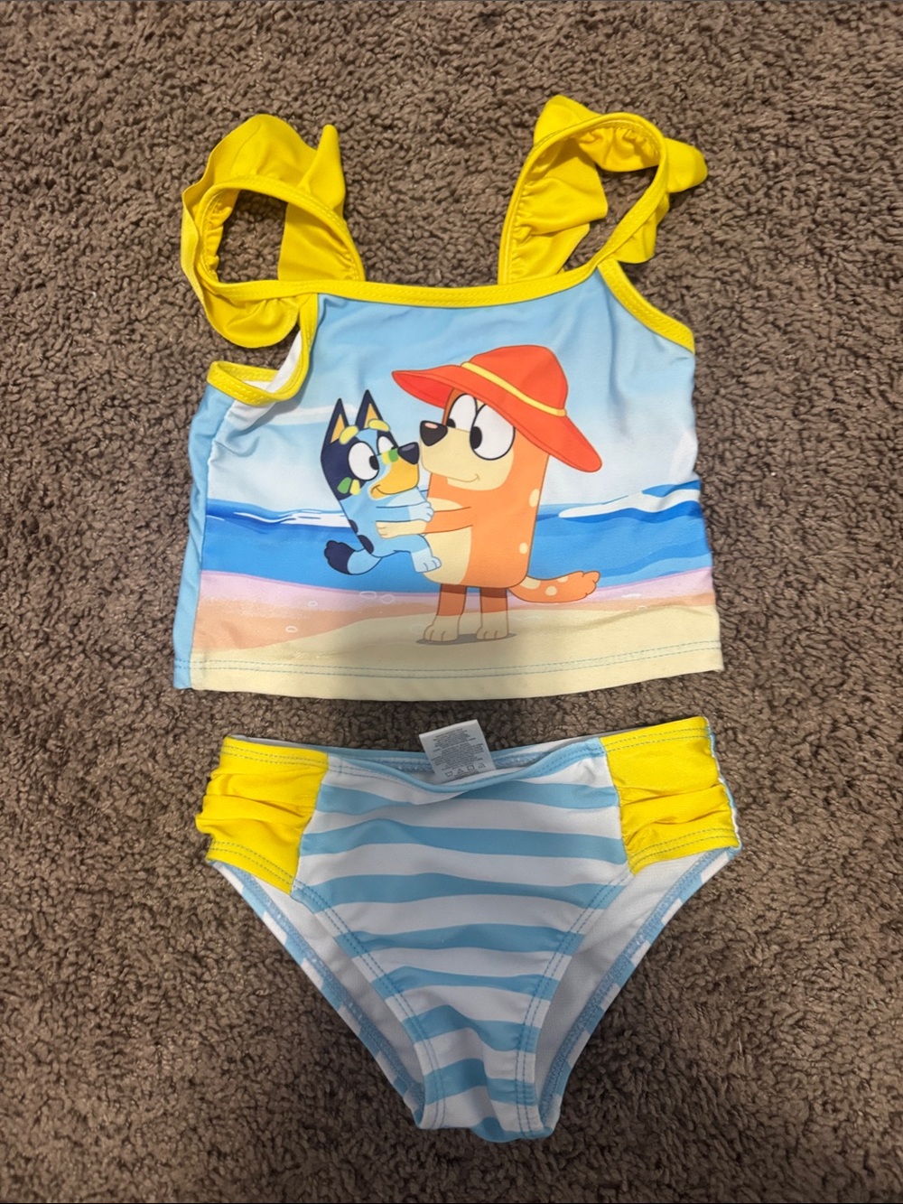 Bluey Two-Piece Swim Set